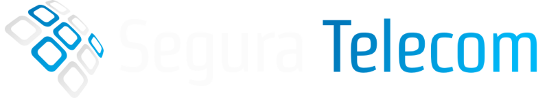 Segura IT Solutions Logo